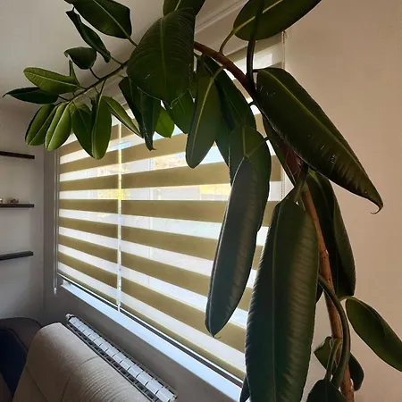 Apartament Family With Full Amenities And Parking